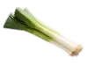Puerro