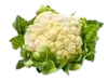 Coliflor