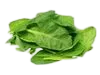 Espinaca
