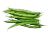 Judia verde