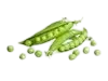 Guisantes