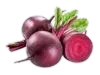Romolacha
