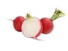 Rábano