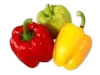 Pimiento